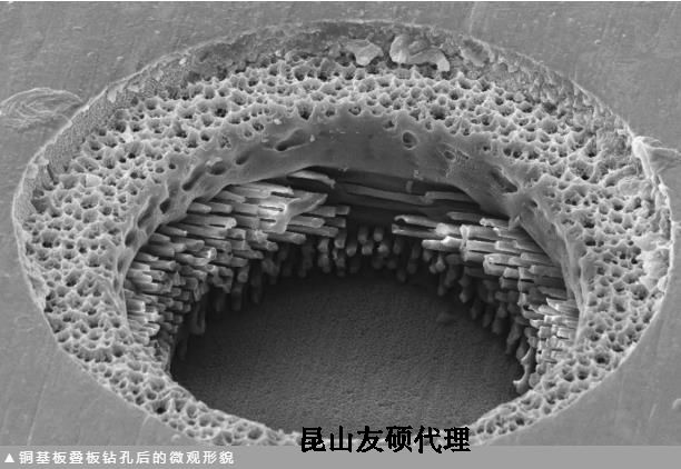 昭通蔡司昭通扫描电镜